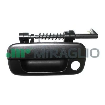 80696 Miraglio