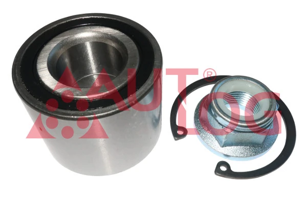 RS1131 Autlog