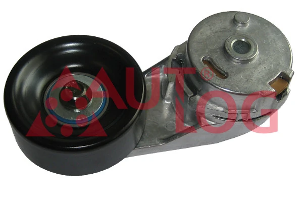 Napinacz paska napędowego Chevrolet Captiva II SUV (C140) (2011 - 2026) cena, od 65,24 USD