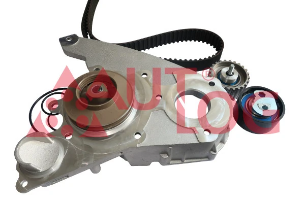 Do koszyka 1624232180 Peugeot/Citroen Pasek rozrządu, zestaw