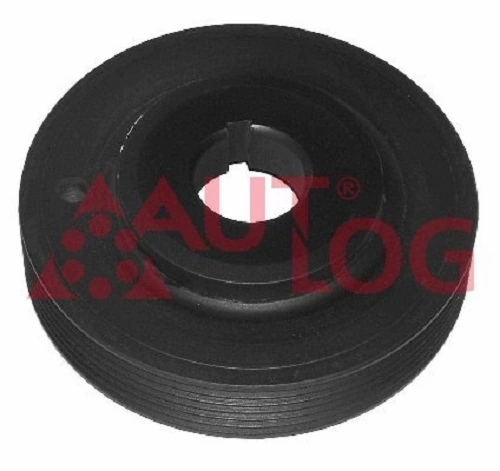 RT1519 Autlog