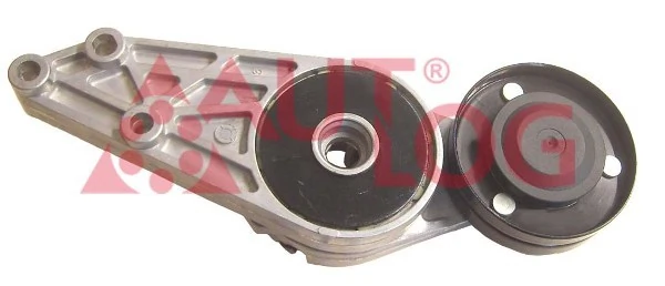 Napinacz paska napędowego Audi A6 C4 kombi (4A5) (1994 - 1998) cena, od 26,28 USD