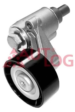 Napinacz paska napędowego do Peugeot Expert  223