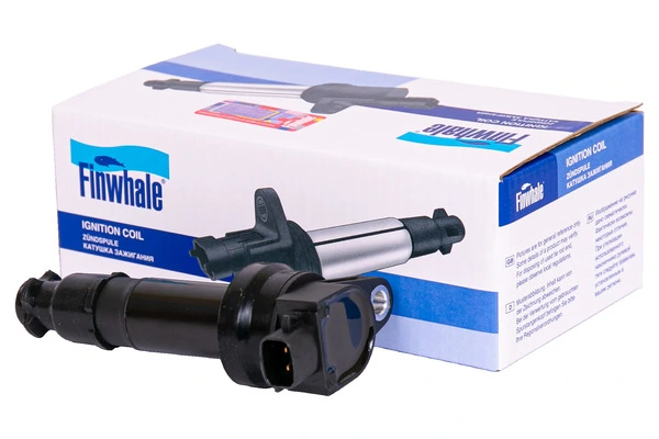 IC018 Finwhale