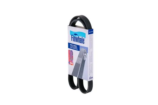 BP5PK1005 Finwhale