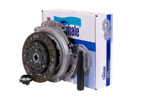 CK401 Finwhale