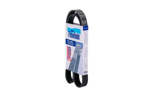 BP6PK1043 Finwhale
