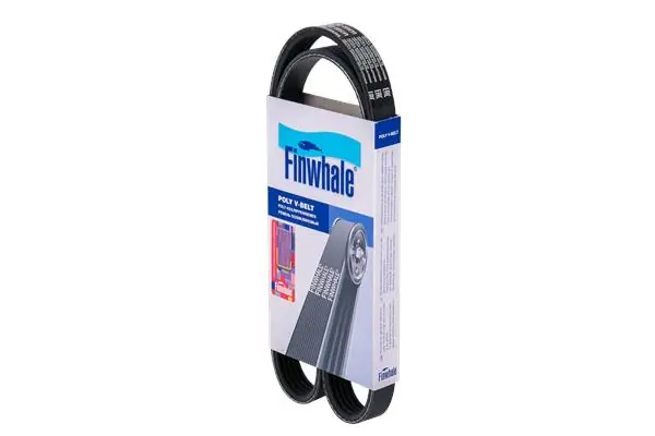 BP5PK970 Finwhale