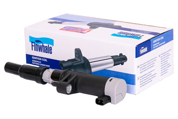 IC006 Finwhale
