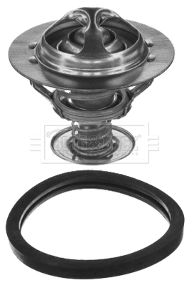 Termostat do Peugeot Expert  223