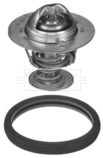 Termostat Ford Focus 4