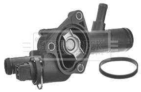 Termostat Renault Clio II