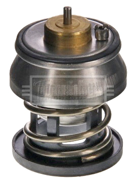  Termostat MINI COUNTRYMAN 