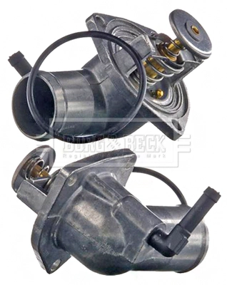 Termostat 95517668 Peugeot/Citroen