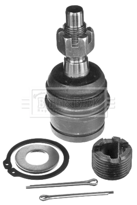 Sworzeń wahacza dolny Jeep Grand Cherokee SUV (EUROPA  WJ, WG) (1999 - 2004) cena, od 24,37 USD