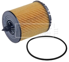 Do koszyka 12580254 General Motors Filtr oleju