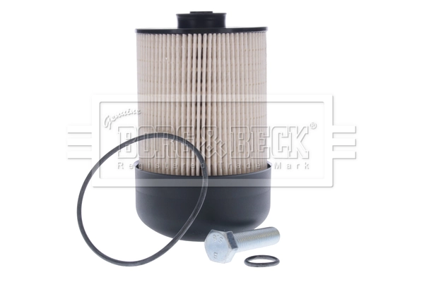 Do koszyka 164000708R Renault (RVI) Filtr paliwa