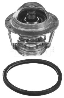  Termostat Chevrolet Captiva 2