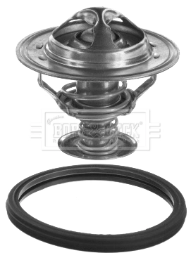 Do koszyka TE0123 Magneti Marelli Termostat