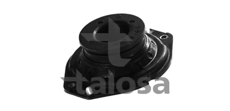 6304938 Talosa
