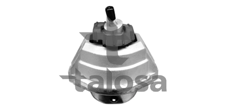 6106620 Talosa