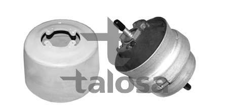 6106577 Talosa