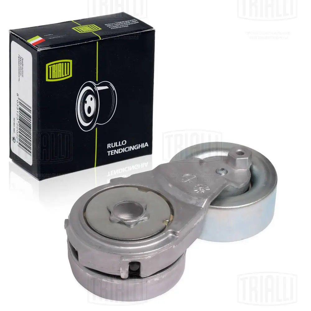 Rolka napinacza paska napędowego Renault Latitude sedana (L7) (2011 - 2026) cena, od 24,06 USD
