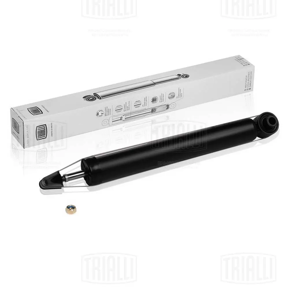 AG08538 Trialli