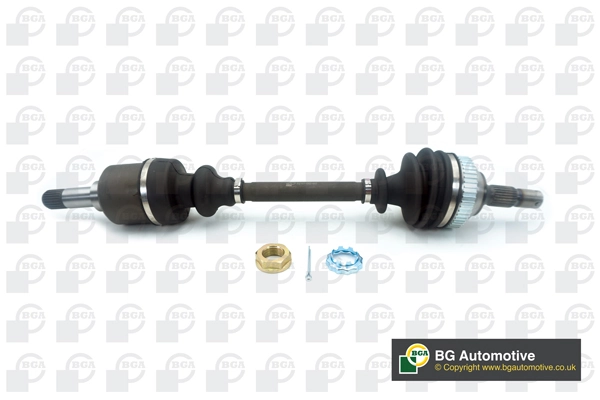 DS1425L BGA