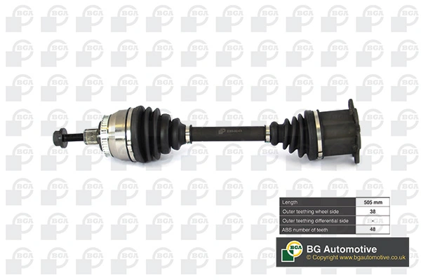 DS2305 BGA