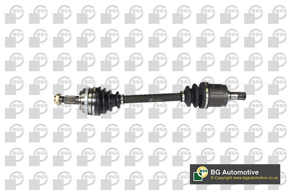 DS2500RA BGA