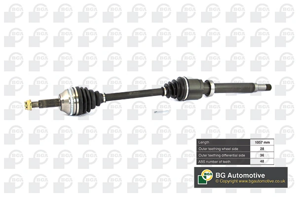 DS2351RA BGA