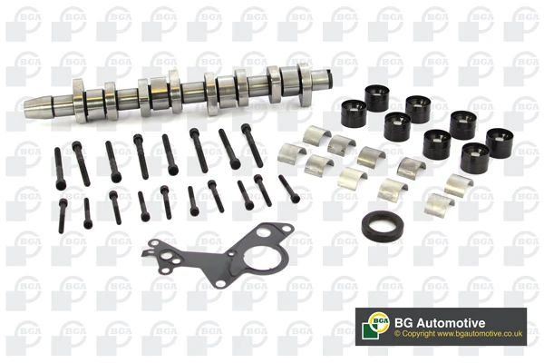 Do koszyka Wał rozrządu silnika Audi A4 B6 8E2