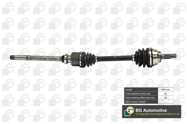 DS1408R BGA