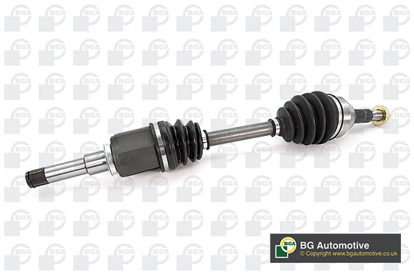 DS1203L BGA