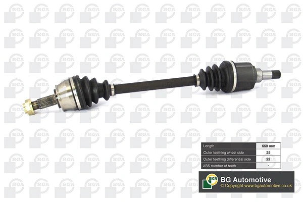 DS1428L BGA