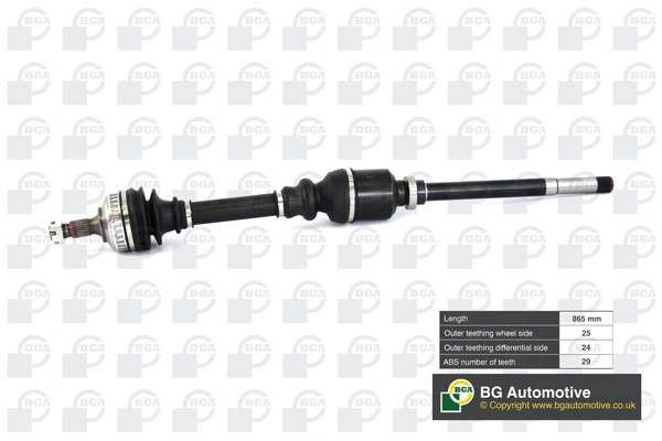DS1409RA BGA