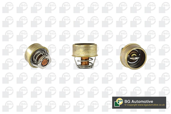 Termostat Renault 19