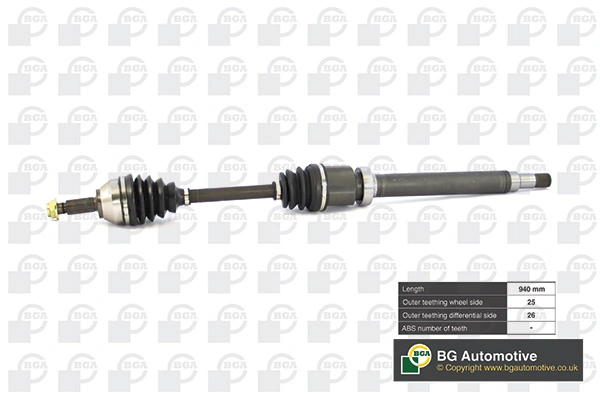 DS2302R BGA