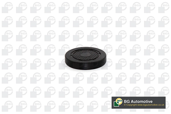  Zaślepka głowicy cylindrów/bloku cylindrów Renault Clio 