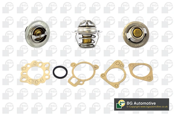 Termostat Daewoo Rezzo