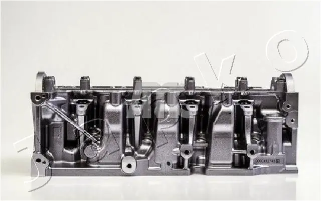 Głowica cylindrów Renault DUSTER 2 HM