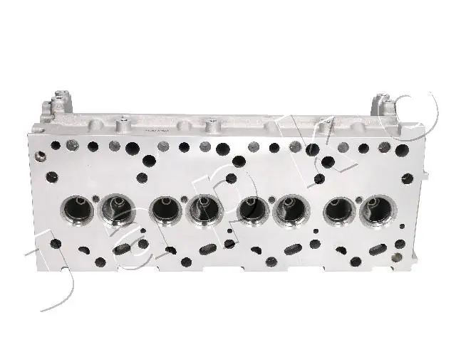 Głowica cylindrów Renault Trucks Mascott 