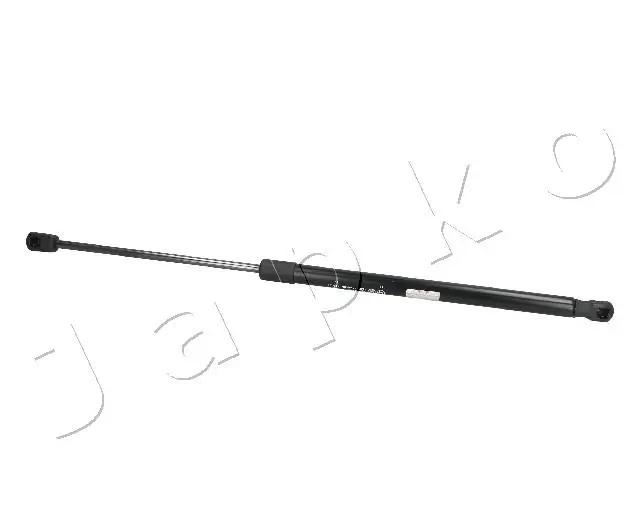 ZSJ09070 Japko