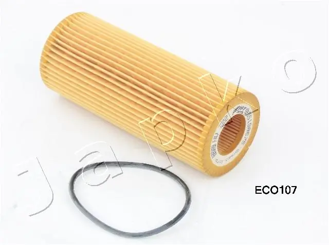 1ECO107 Japko