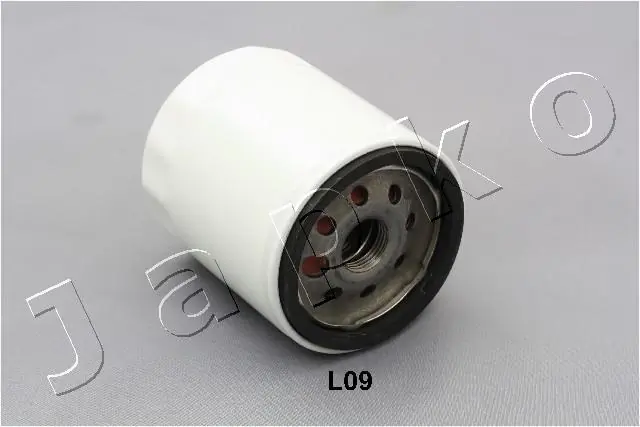 10L09 Japko