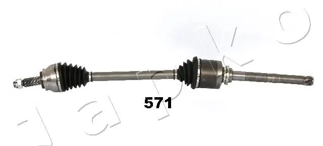 62571 Japko