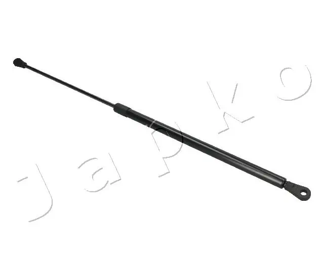 ZSJ09076 Japko