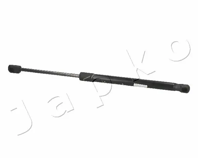 ZSJ09140 Japko