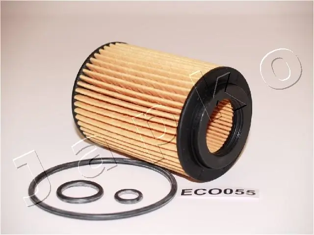 1ECO055 Japko
